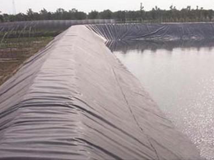 鱼塘防渗膜