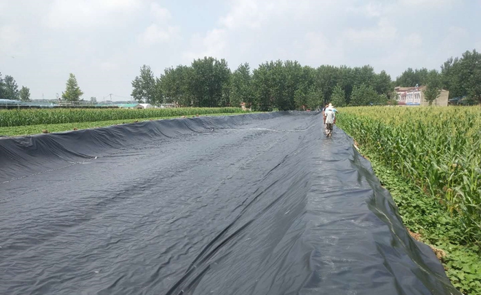 鱼塘养殖膜案例